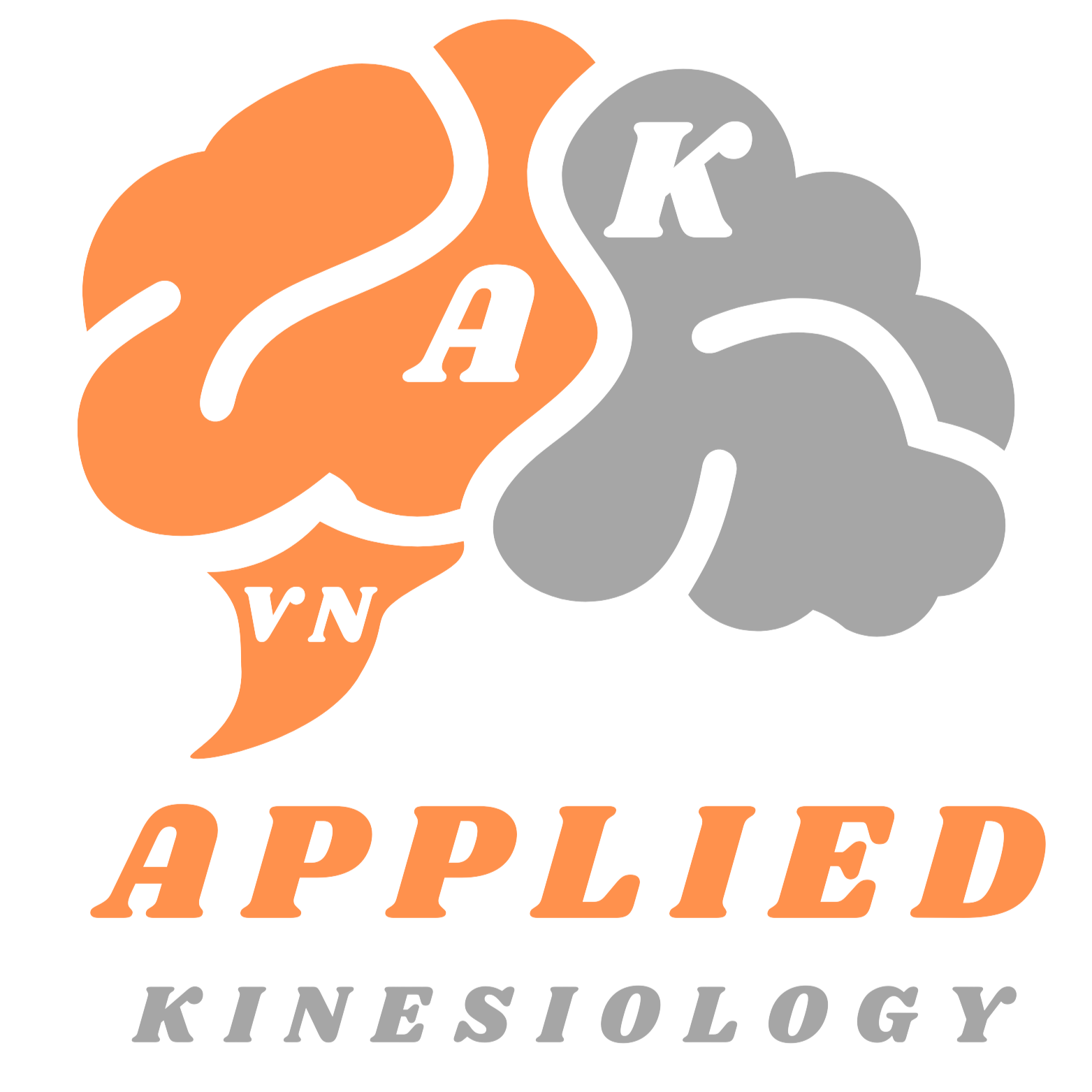 akvn.pro logo