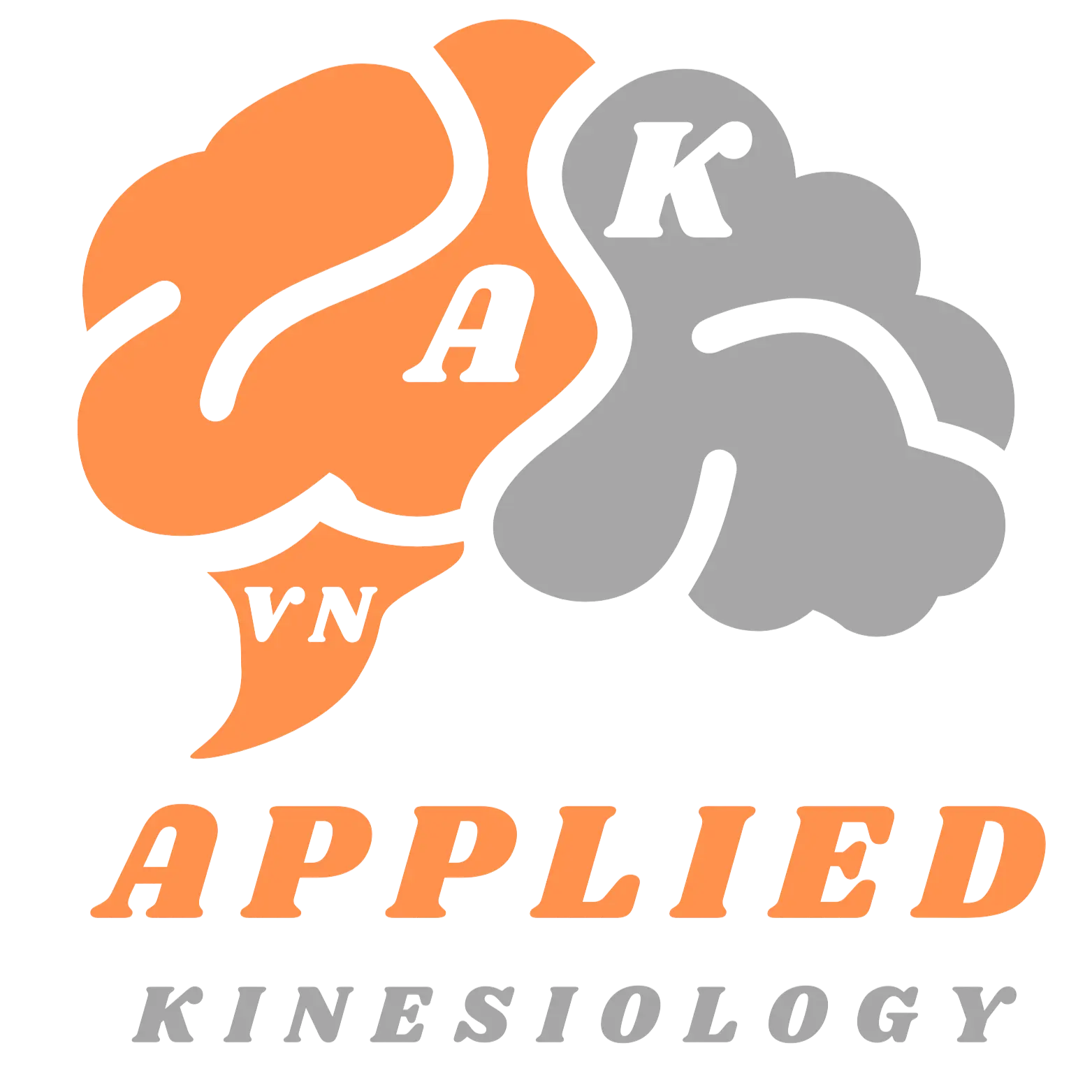 Applied Kinesiology Viet Nam Logo